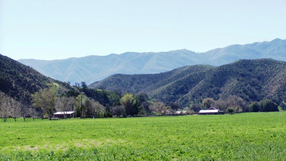 Snow Ranch – Cuyama Valley, California
